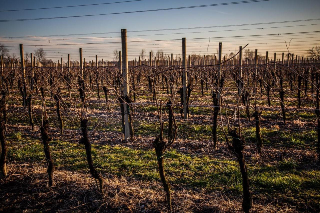 Agriturismo Il Casone Zoppola Kültér fotó